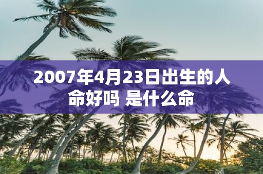 2007年4月23日出生的人命好吗 是什么命