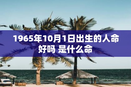1965年10月1日出生的人命好吗 是什么命