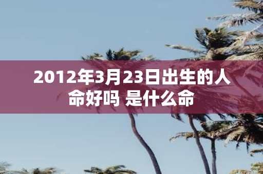 2012年3月23日出生的人命好吗 是什么命