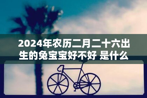 2025年农历二月二十六出生的兔宝宝好不好 是什么命