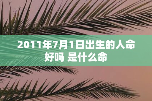 2011年7月1日出生的人命好吗 是什么命