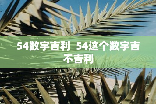 54数字吉利 54这个数字吉不吉利