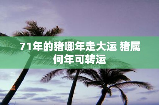 71年的猪哪年走大运 猪属何年可转运