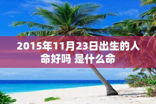 2015年11月23日出生的人命好吗 是什么命