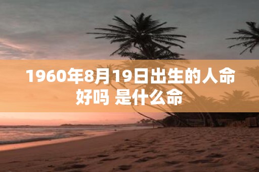 1960年8月19日出生的人命好吗 是什么命