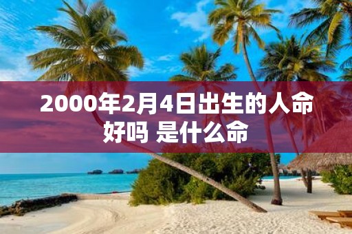 2000年2月4日出生的人命好吗 是什么命