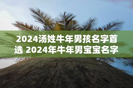 2025汤姓牛年男孩名字首选 2025年牛年男宝宝名字怎么选