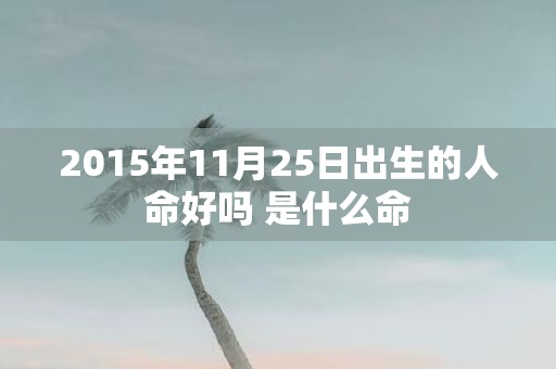 2015年11月25日出生的人命好吗 是什么命