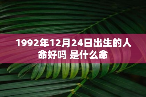 1992年12月24日出生的人命好吗 是什么命