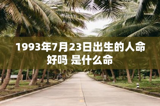1993年7月23日出生的人命好吗 是什么命