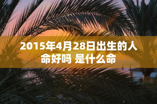 2015年4月28日出生的人命好吗 是什么命