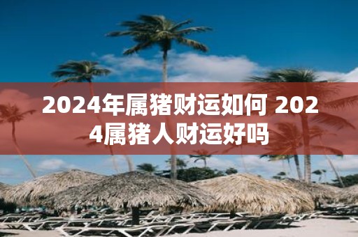 2025年属猪财运如何 2025属猪人财运好吗