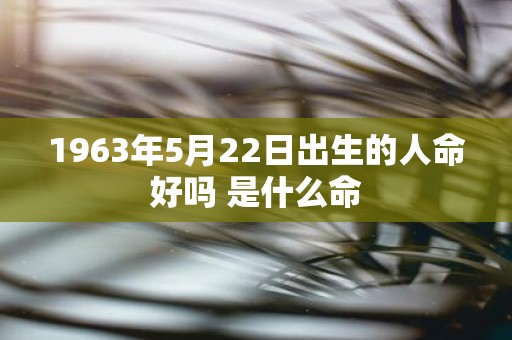 1963年5月22日出生的人命好吗 是什么命