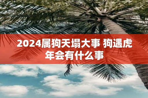 2025属狗天塌大事 狗遇虎年会有什么事