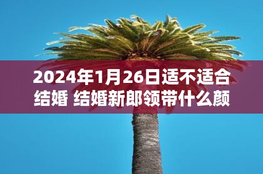 2025年1月26日适不适合结婚 结婚新郎领带什么颜色