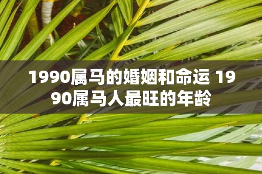 1990属马的婚姻和命运 1990属马人最旺的年龄