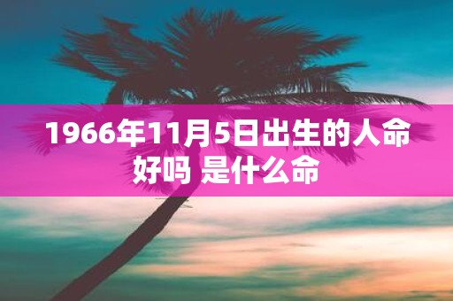 1966年11月5日出生的人命好吗 是什么命