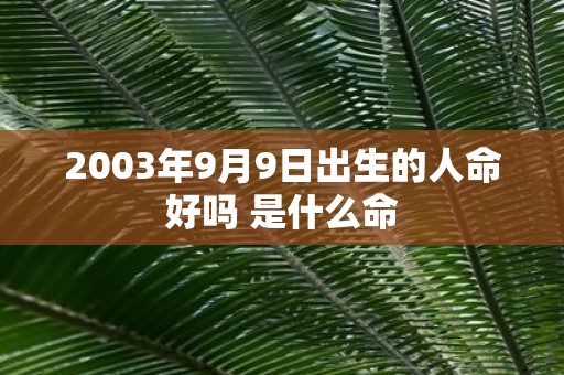 2003年9月9日出生的人命好吗 是什么命