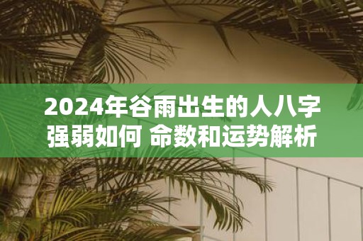 2025年谷雨出生的人八字强弱如何 命数和运势解析