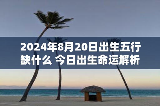 2025年8月20日出生五行缺什么 今日出生命运解析