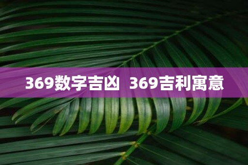 369数字吉凶 369吉利寓意