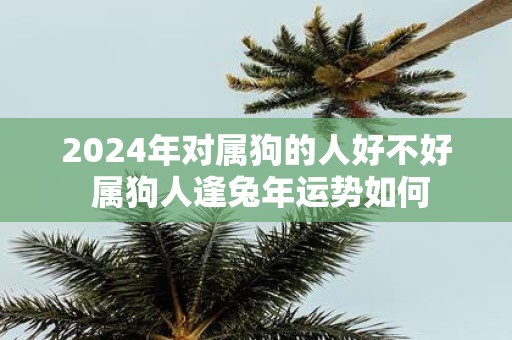 2025年对属狗的人好不好 属狗人逢蛇年运势如何