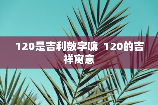 120是吉利数字嘛 120的吉祥寓意