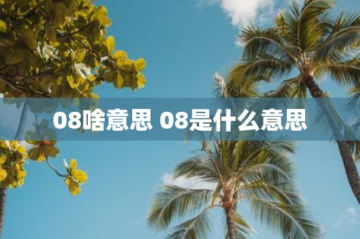 08啥意思 08是什么意思