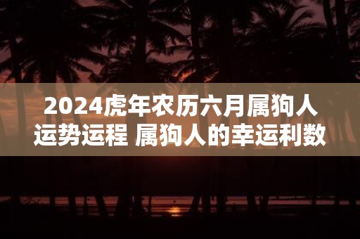 2025虎年农历六月属狗人运势运程 属狗人的幸运利数字是什么