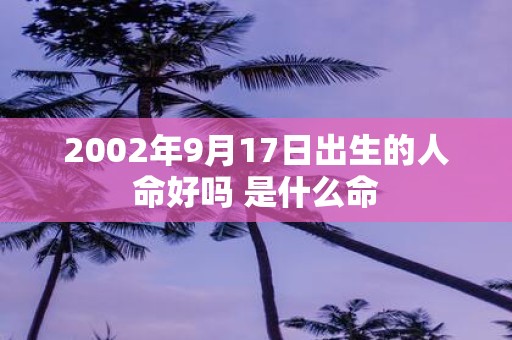 2002年9月17日出生的人命好吗 是什么命