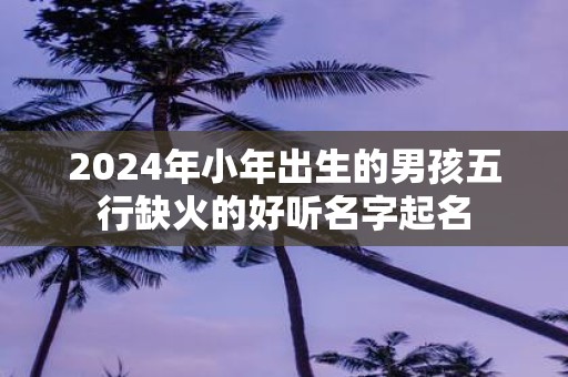 2025年小年出生的男孩五行缺火的好听名字起名