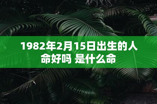 1982年2月15日出生的人命好吗 是什么命