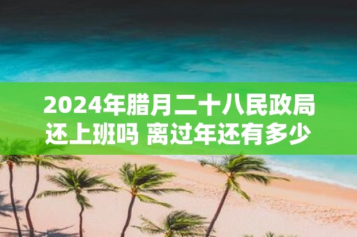 2025年腊月二十八民政局还上班吗 离过年还有多少天