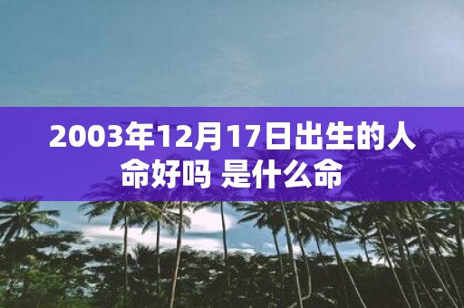 2003年12月17日出生的人命好吗 是什么命