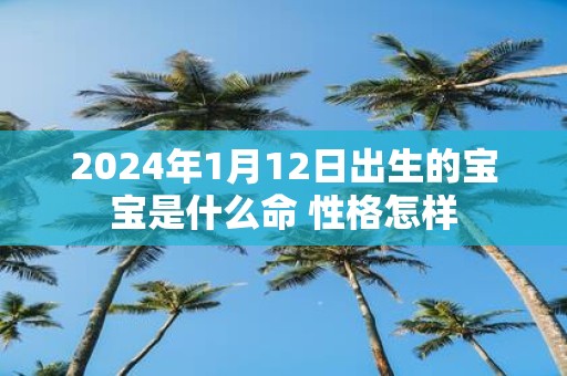 2025年1月12日出生的宝宝是什么命 性格怎样