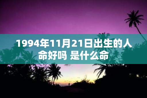 1994年11月21日出生的人命好吗 是什么命