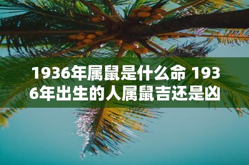 1936年属鼠是什么命 1936年出生的人属鼠吉还是凶
