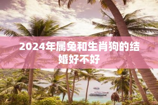 2025年属兔和生肖狗的结婚好不好