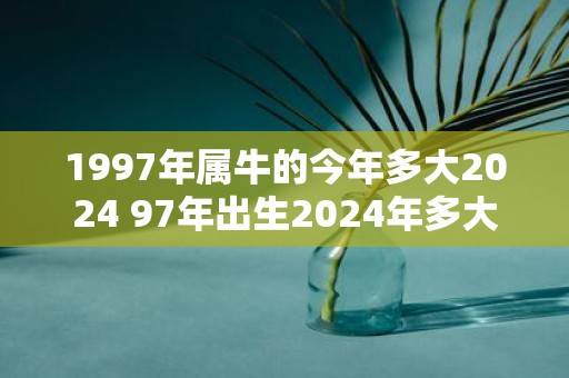 1997年属牛的今年多大2025 97年出生2025年多大年龄
