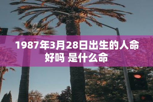 1987年3月28日出生的人命好吗 是什么命