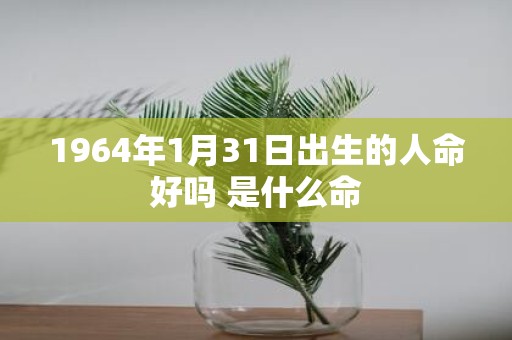 1964年1月31日出生的人命好吗 是什么命