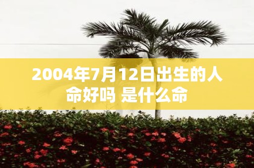 2004年7月12日出生的人命好吗 是什么命