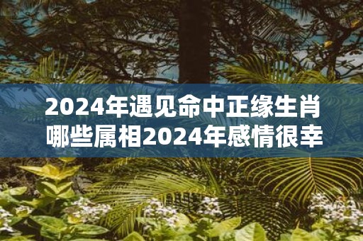 2025年遇见命中正缘生肖 哪些属相2025年感情很幸福
