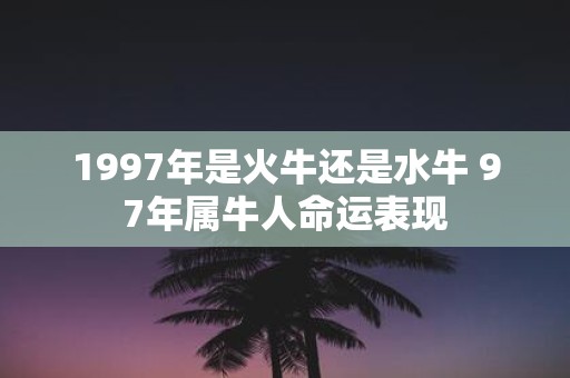 1997年是火牛还是水牛 97年属牛人命运表现