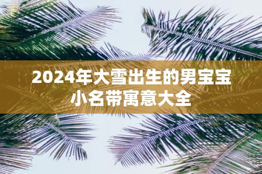 2025年大雪出生的男宝宝小名带寓意大全