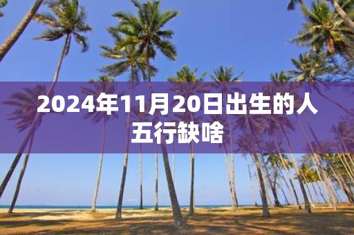 2025年11月20日出生的人五行缺啥
