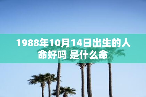 1988年10月14日出生的人命好吗 是什么命