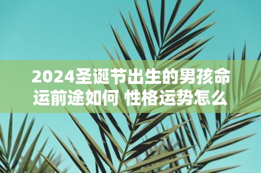2025圣诞节出生的男孩命运前途如何 性格运势怎么样
