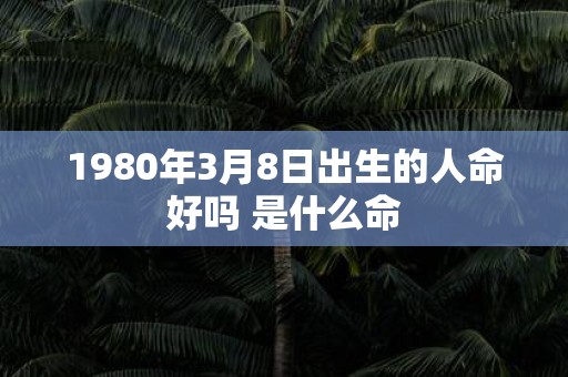 1980年3月8日出生的人命好吗 是什么命