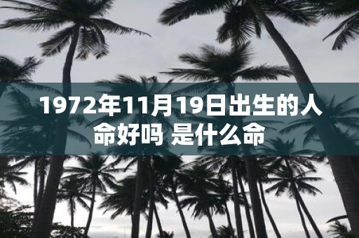 1972年11月19日出生的人命好吗 是什么命